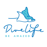 Dive Life — Be Amazed